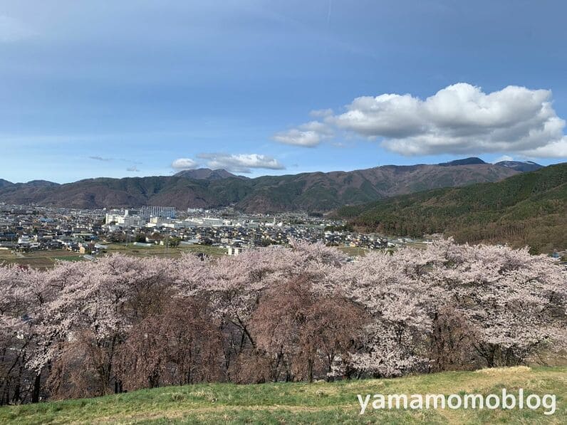 弘法山古墳からの眺め写真