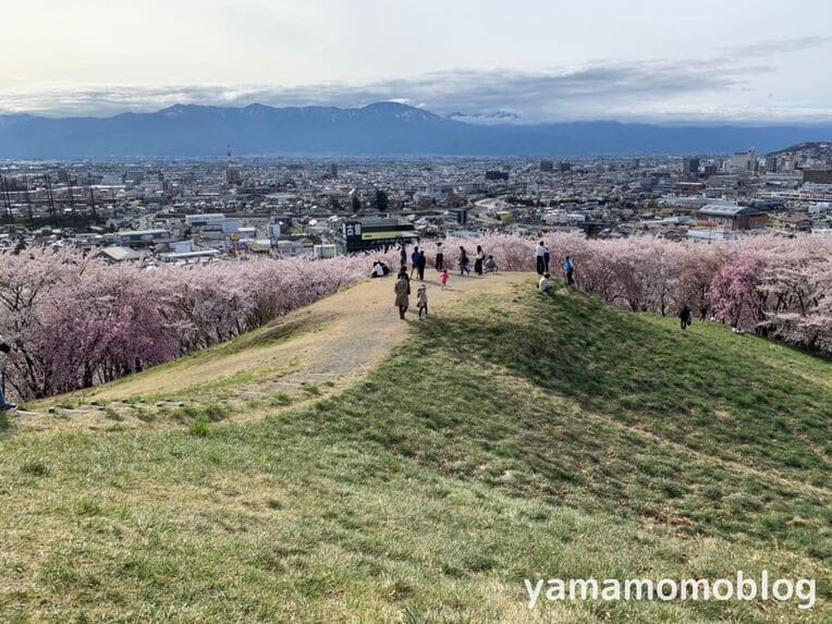 弘法山古墳から街を一望写真