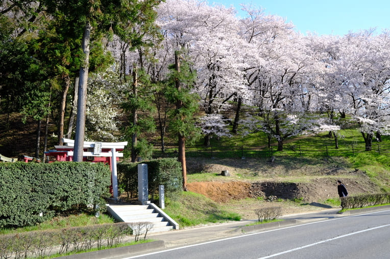 弘法山古墳2021入口の写真