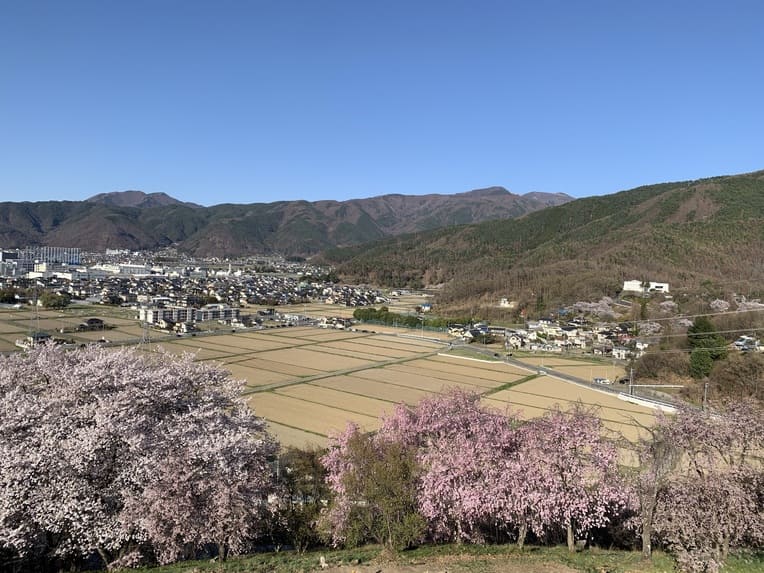 弘法山古墳の景色2021