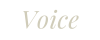 voiceの文字画像